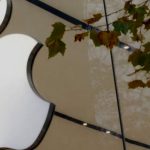 Apple Inc.: Orchestrating Financial Symphony in the Tech Ecosystem